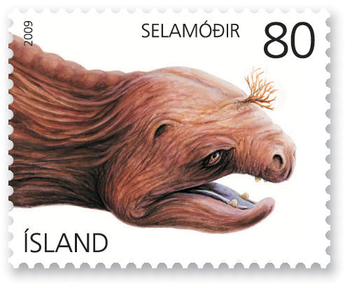 519E - Icelandic Legendary animals - Seal mother