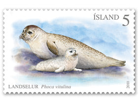 532A - Seals I - Habor seal