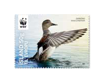 547D - Endangered Birds - Gadwall