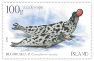 578A - Seals III - Hooded seal