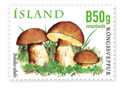 581A - Wild Mushrooms VII - The penny bun