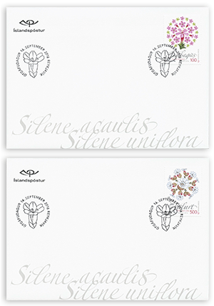 637FDC1 - Wild Icelandic Vegetation