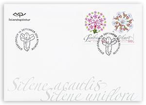 637FDCS - Wild Icelandic Vegetation