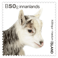 649A - The Young of Iceland‘s Domestic Animals I - Kids - Self-adhesive