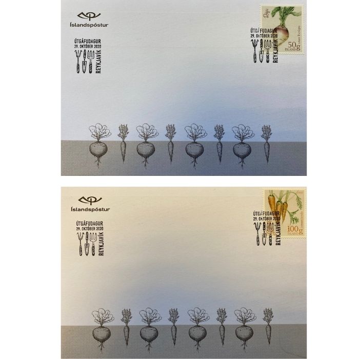 699FDC1 - Icelandic garden vegetables I