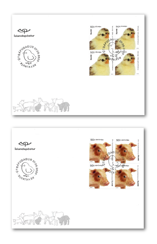 696FDC4 - The young of Iceland’s domestic animals IV
