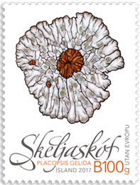 653B - Villtur íslenskur gróður II - Skeljaskóf - Sjálflímandi