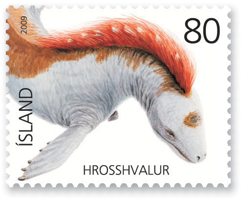 519A - Íslenskar kynjaskepnur - Hrosshvalur