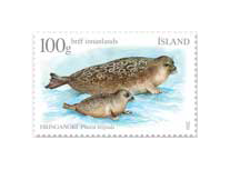 548A - Seals II - Ringed seal