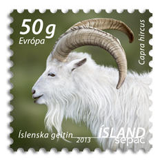 592A - SEPAC - The Icelandic Settlement Goat