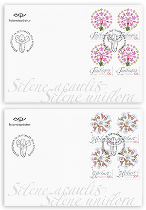 637FDC4 - Wild Icelandic Vegetation