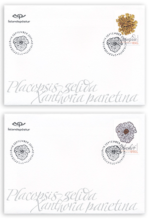 653FDC1 - Wild Icelandic Vegetation II