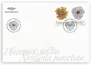 653FDCS - Wild Icelandic Vegetation II