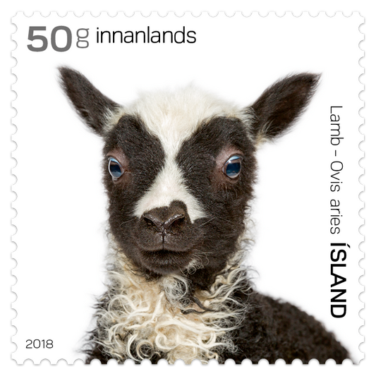 662B - The Young of Iceland‘s Domestic Animals II - Lambs - Self-adhesive - 50g domestic