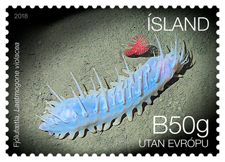 669B - Iceland's Seabed Ecosystem III - Sea cucumber - Self-adhesive -B50g World