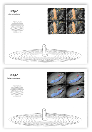 669FDC1- Iceland's Seabed Ecosystem III 