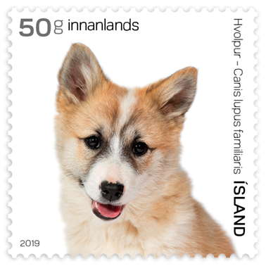 680A - The Young of Iceland's Domestic Animals III - Puppy - Self-adhesive - 50g domestic