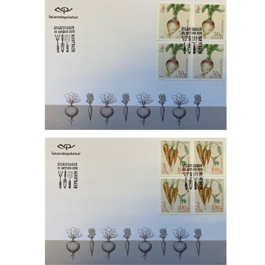 699FDC4 - Icelandic garden vegetables I 