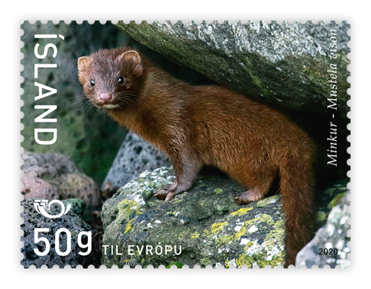 700A Norden stamp 2020 – Mammals - Mink - 50g to Europe