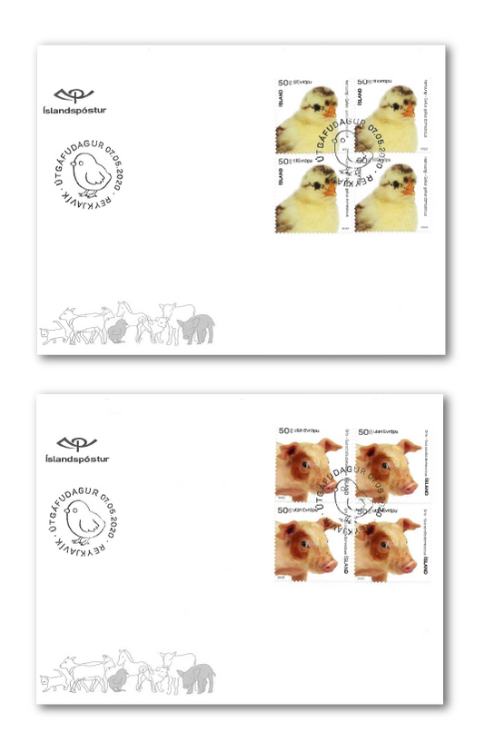 696FDC4 - The young of Iceland’s domestic animals IV