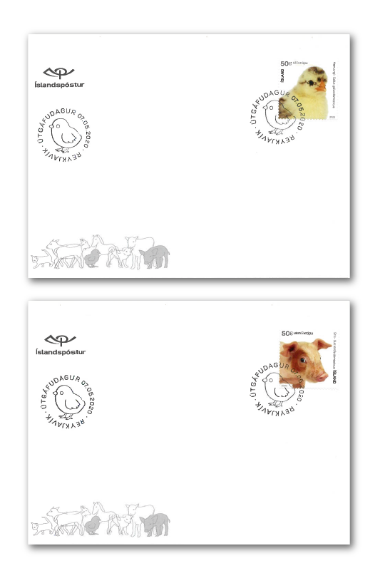 696FDC1 - The young of Iceland’s domestic animals IV